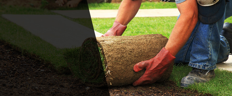 West Roxbury Landscapers